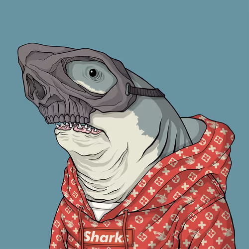 Sharkoutlawsquad