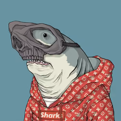 Outlaw Shark #236
