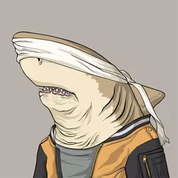 Outlaw Shark #3104