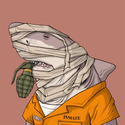 Outlaw Shark #7774
