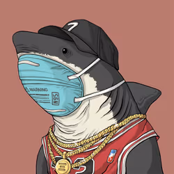 Outlaw Shark #6980