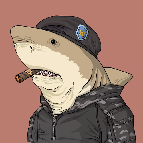 Sharkoutlawsquad