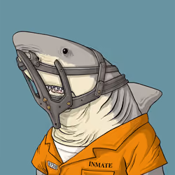 Outlaw Shark #1216
