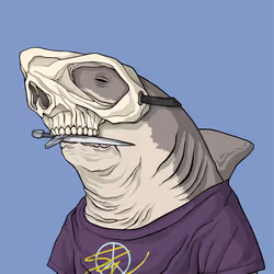 Outlaw Shark #4419