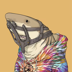 Outlaw Shark #2405