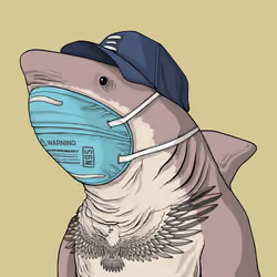 Outlaw Shark #1370