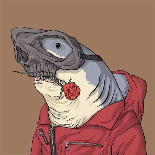 Sharkoutlawsquad