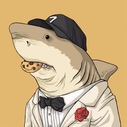 Justice Shark #4066