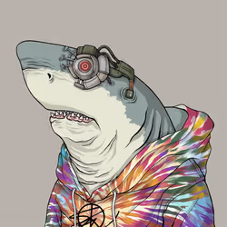 Outlaw Shark #4443