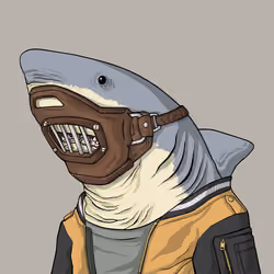 Outlaw Shark #7099