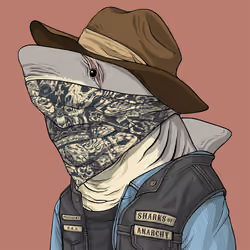Outlaw Shark #1443
