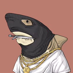 Outlaw Shark #1372