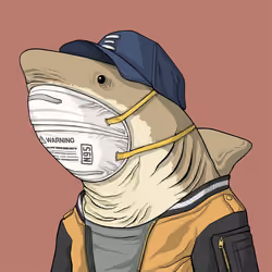 Outlaw Shark #7561