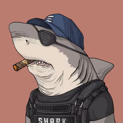 Justice Shark #167