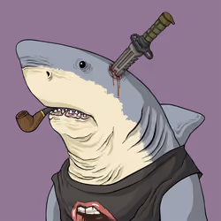 Outlaw Shark #4322