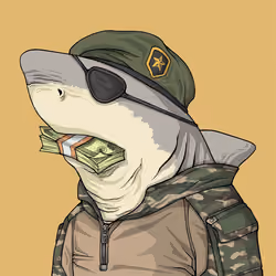 Justice Shark #7571