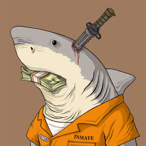 Outlaw Shark #1669