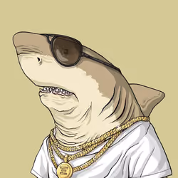 Outlaw Shark #2721
