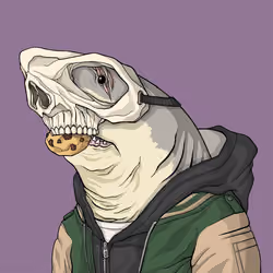 Outlaw Shark #2671