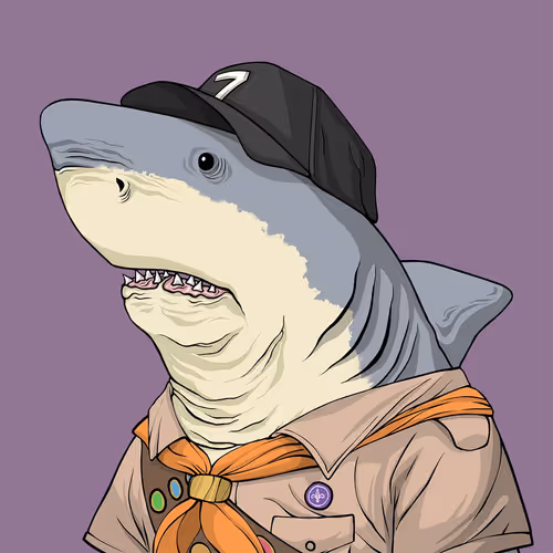 Sharkoutlawsquad