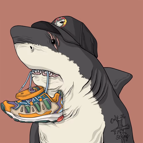Outlaw Shark #24