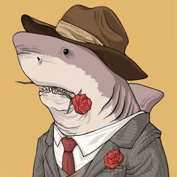 Outlaw Shark #5566