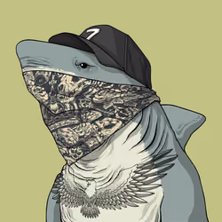 Outlaw Shark #6833