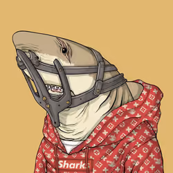 Outlaw Shark #93