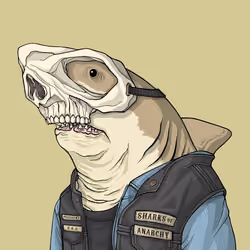 Outlaw Shark #6967