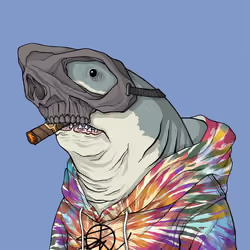 Outlaw Shark #543