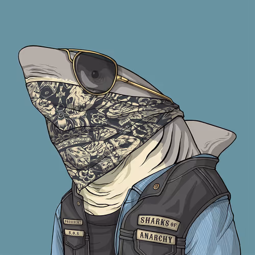 Sharkoutlawsquad