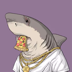 Outlaw Shark #1107