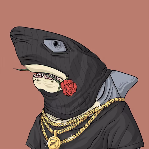 Outlaw Shark #1187
