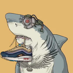 Outlaw Shark #359