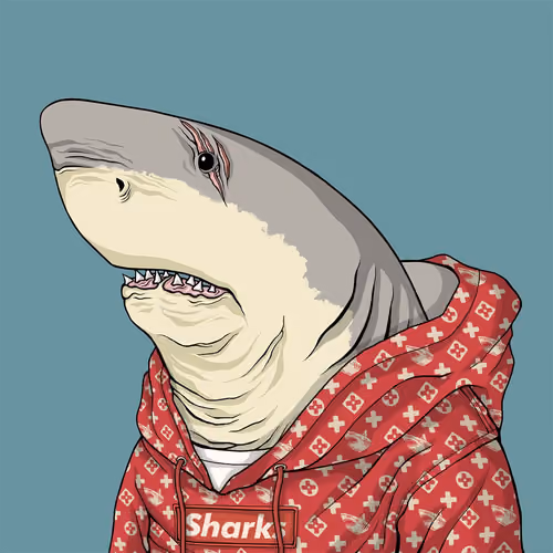 Outlaw Shark #6921