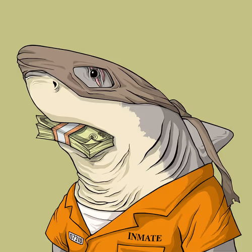 Sharkoutlawsquad