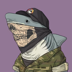 Justice Shark #5290
