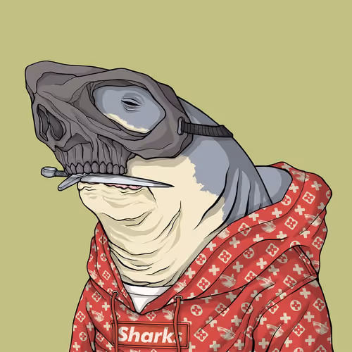 Outlaw Shark #517