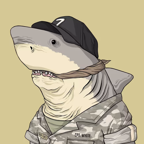 Sharkoutlawsquad