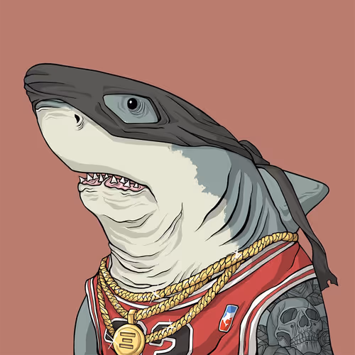Outlaw Shark #3762