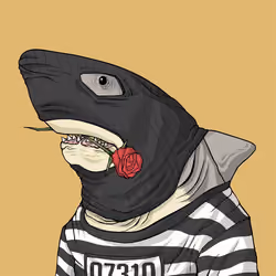 Outlaw Shark #7310