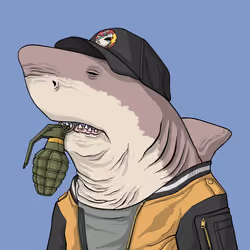 Outlaw Shark #7313