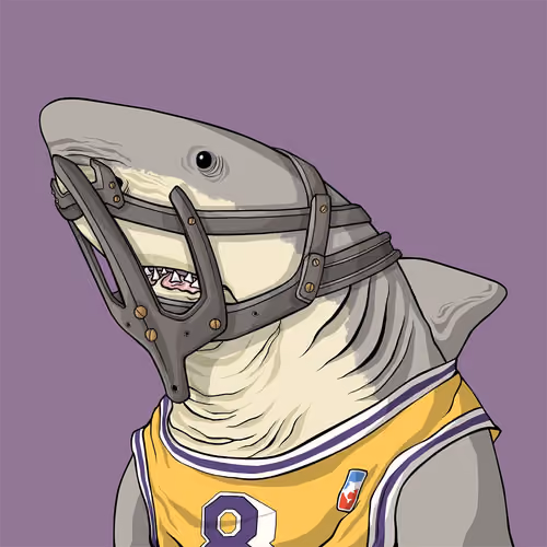 Outlaw Shark #255