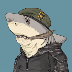 Justice Shark #7629