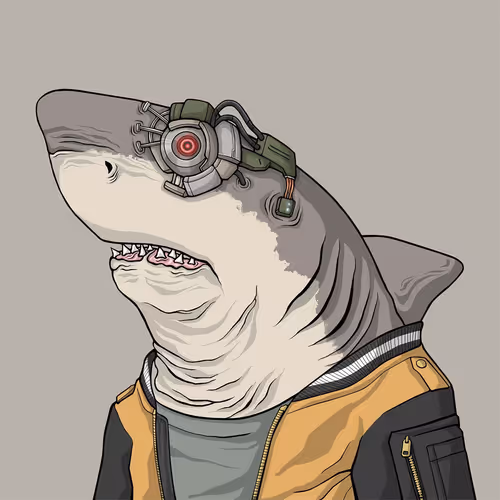 Sharkoutlawsquad