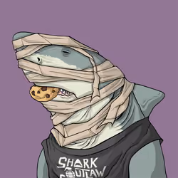 Outlaw Shark #4630