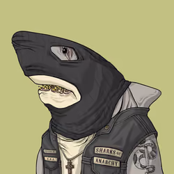 Outlaw Shark #3044
