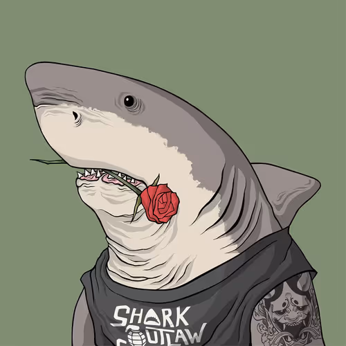 Sharkoutlawsquad