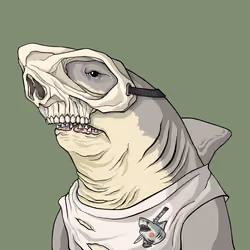 Outlaw Shark #5242