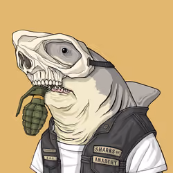 Outlaw Shark #2274